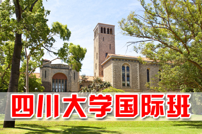 四川大学中外合作，四川大学合作办学